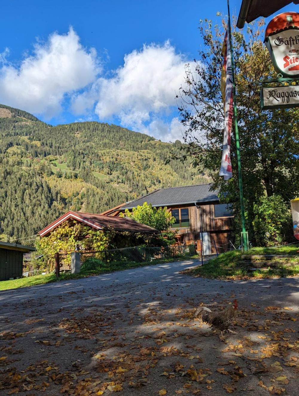 Chalet Schmelz Huette Mit Sauna Und Garten 弗拉塔克 外观 照片